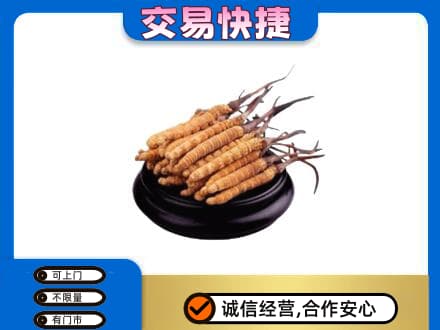拉萨曲水县回收冬虫夏草多少钱每克